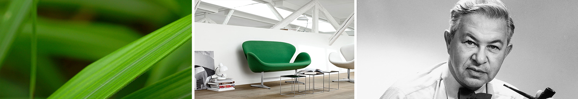 华体会平台-华体会(中国) 设计师 雅各布森