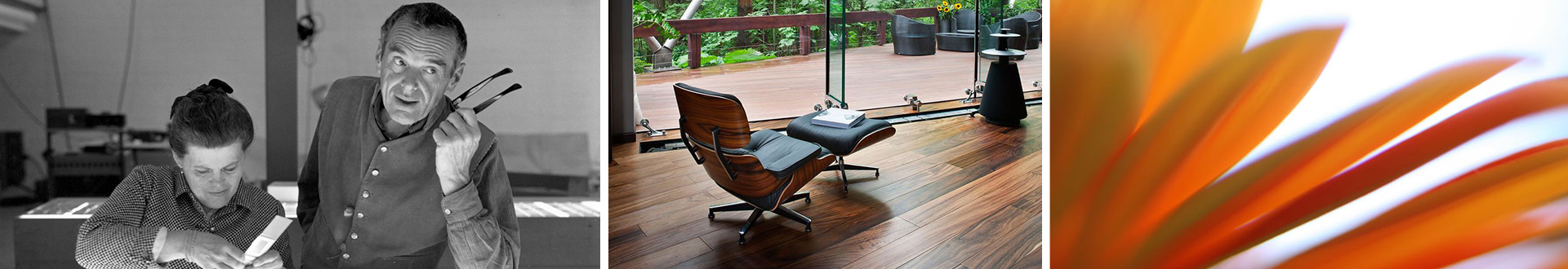 华体会平台-华体会(中国) 设计师