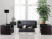 传统真皮沙发 Traditional Leather Sofa